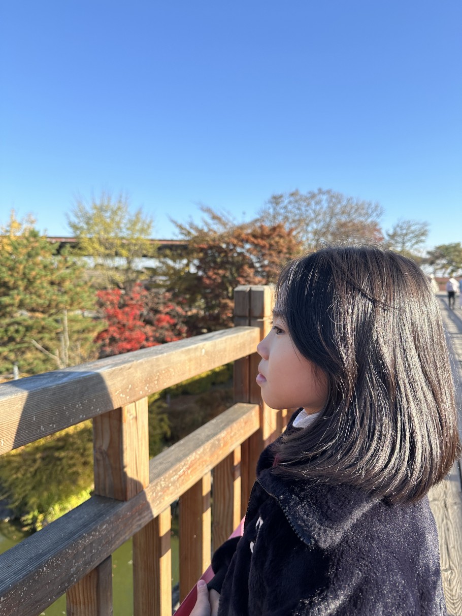 6233504c3a96de3528d7b990c74f421e_1763365